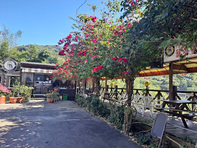 霞雲坪貓頭鷹咖啡館-1