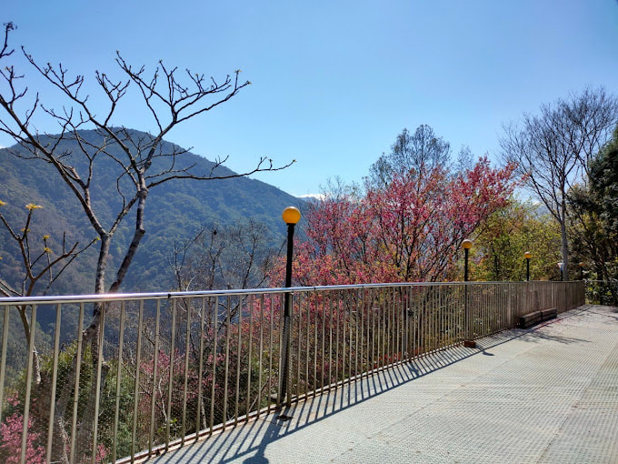 水蜜桃渡假莊園-3