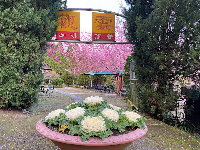 觀雲景觀農莊-3